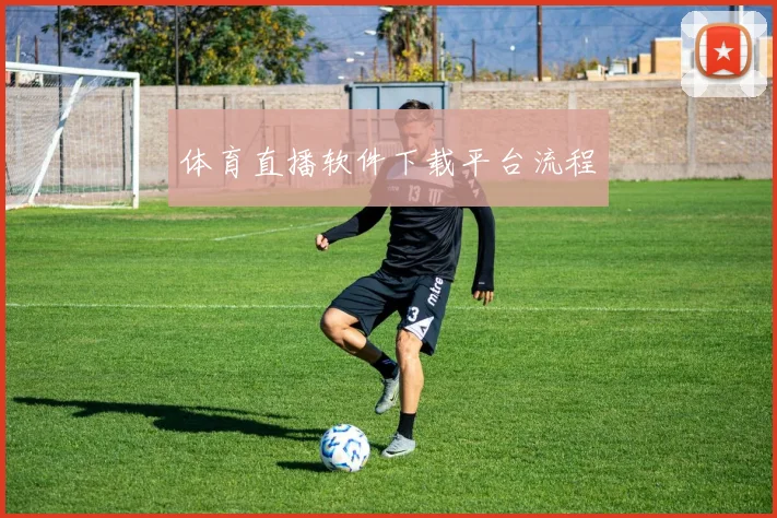 体育直播软件下载平台流程