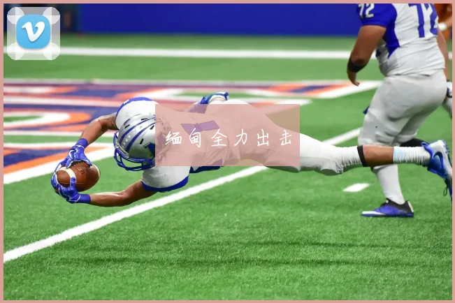 缅甸全力出击