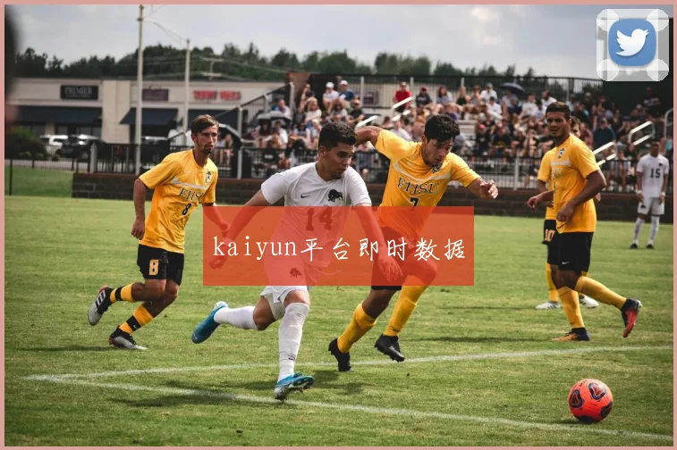 kaiyun平台即时数据