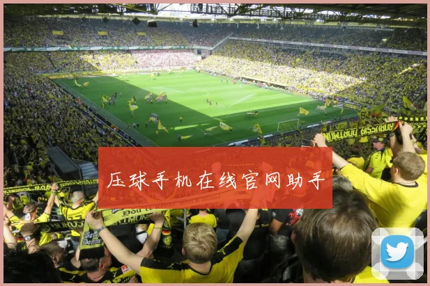 压球手机在线官网助手