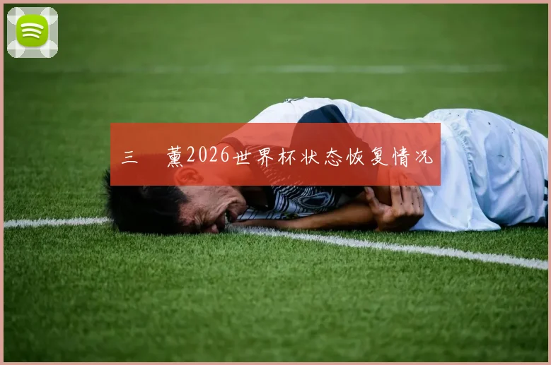 三笘薰2026世界杯状态恢复情况