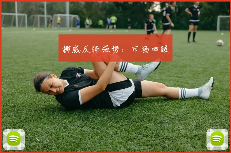 挪威反弹强势，市场回暖