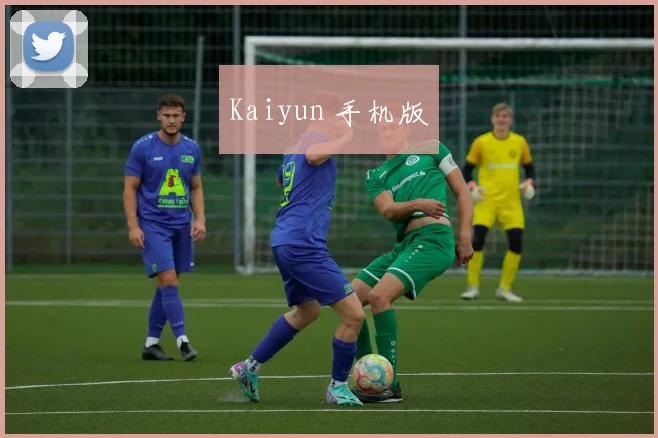 Kaiyun 手机版