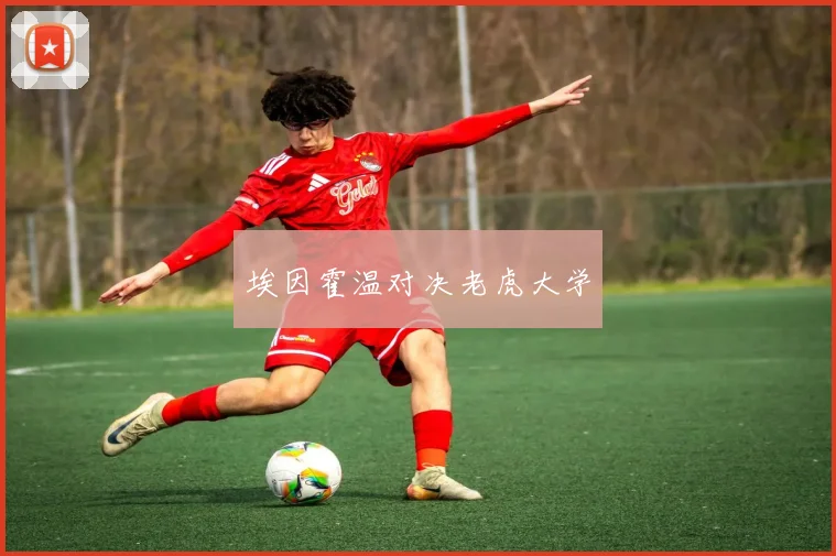 埃因霍温对决老虎大学