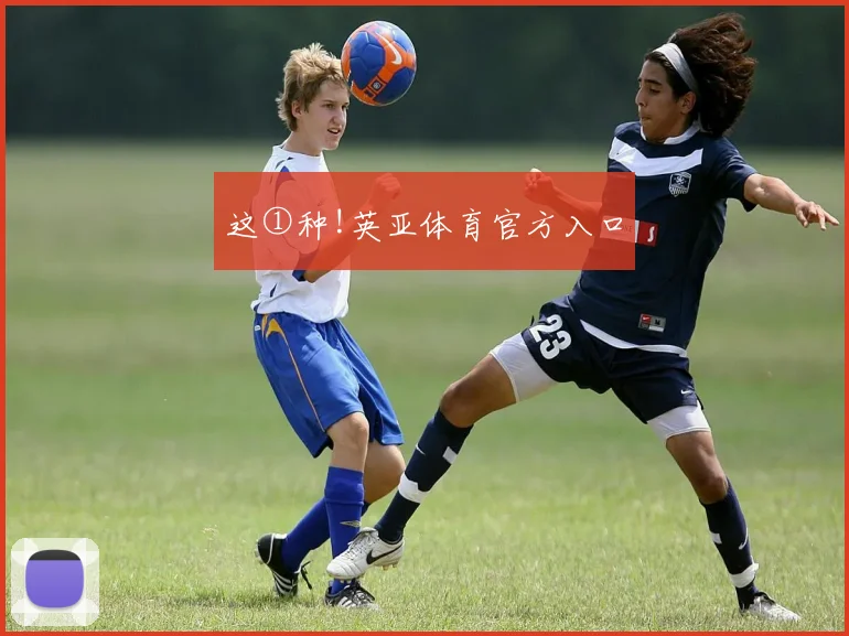 这①种!英亚体育官方入口