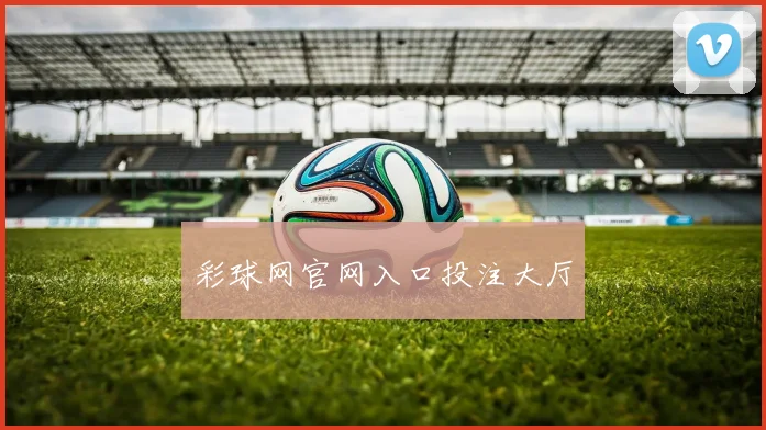 彩球网官网入口投注大厅