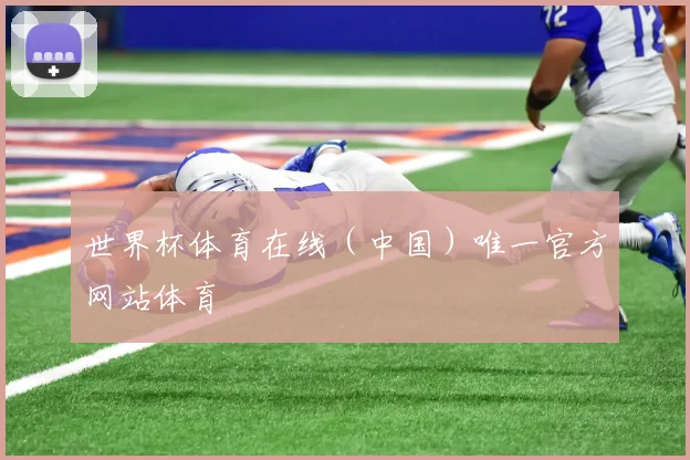 世界杯体育在线（中国）唯一官方网站体育