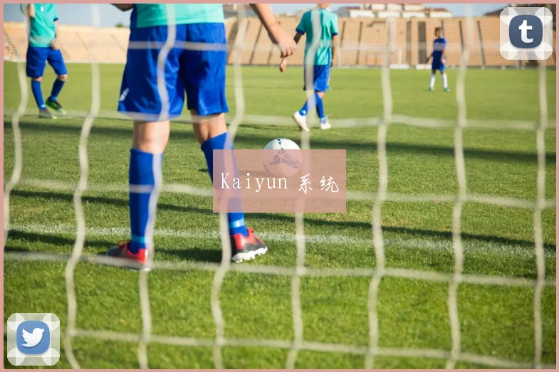 Kaiyun 系统
