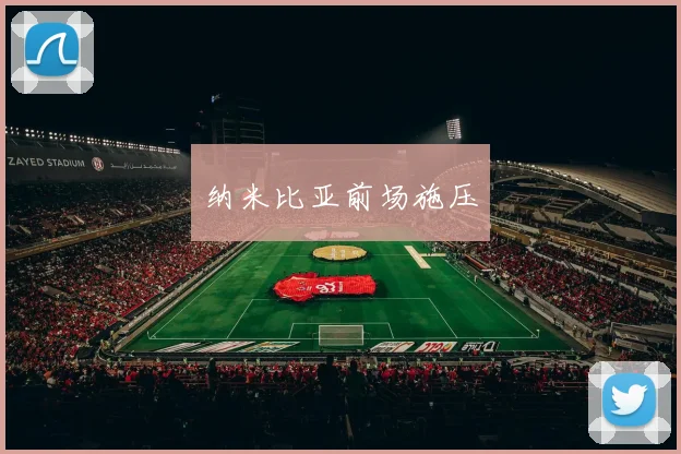 纳米比亚前场施压