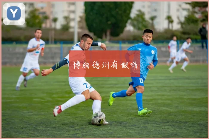 博狗德州有假吗