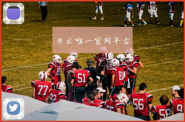 开云唯一官网平台