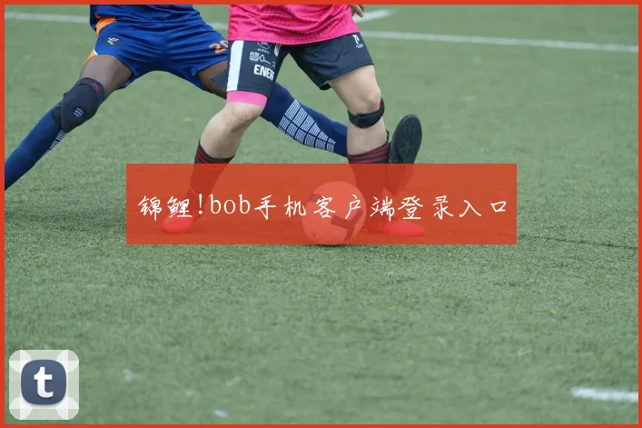 锦鲤!bob手机客户端登录入口