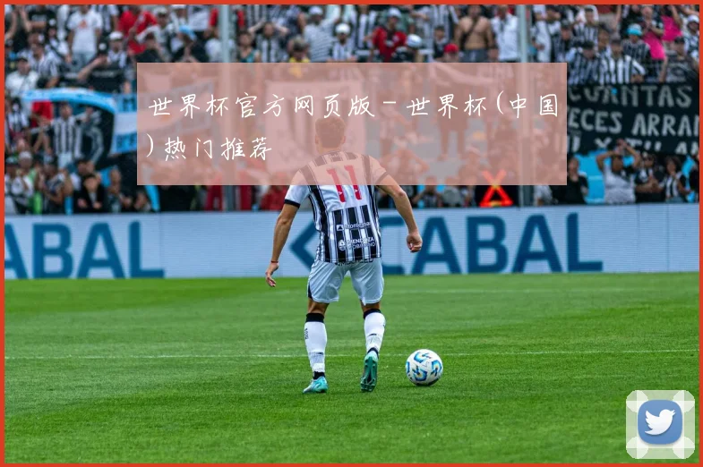 世界杯官方网页版 - 世界杯(中国)热门推荐