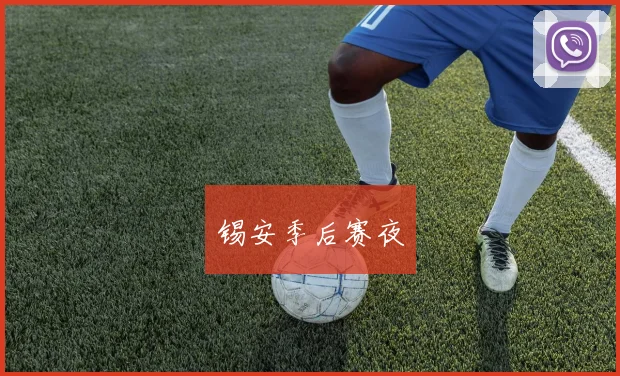 锡安季后赛夜