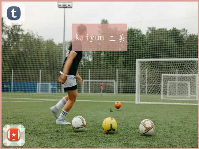 Kaiyun 工具