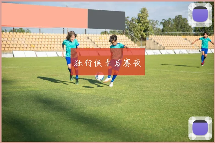 独行侠季后赛夜