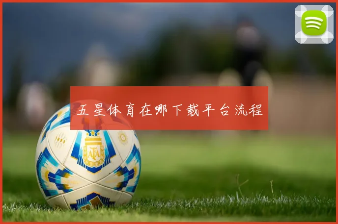 五星体育在哪下载平台流程