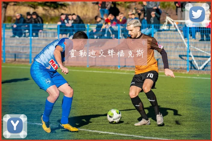 霍勒迪交锋福克斯