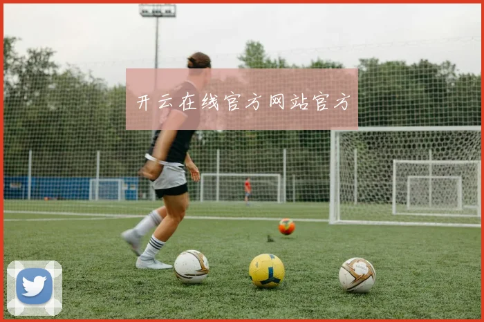 开云在线官方网站官方