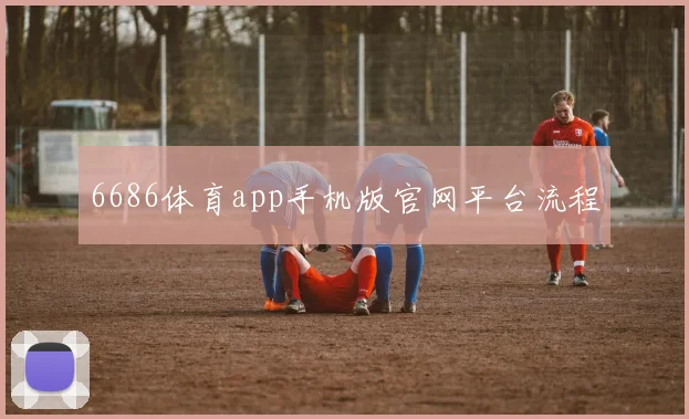 6686体育app手机版官网平台流程
