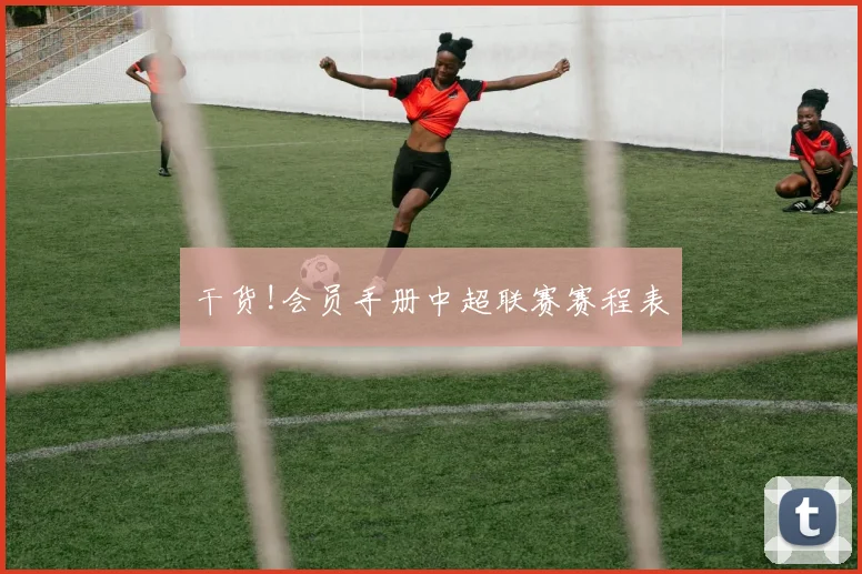 干货!会员手册中超联赛赛程表