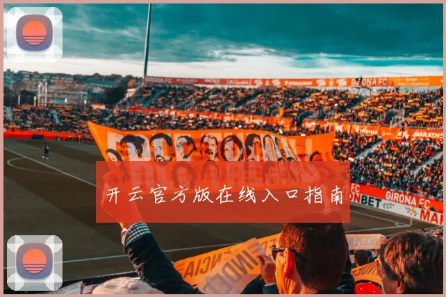 开云官方版在线入口指南