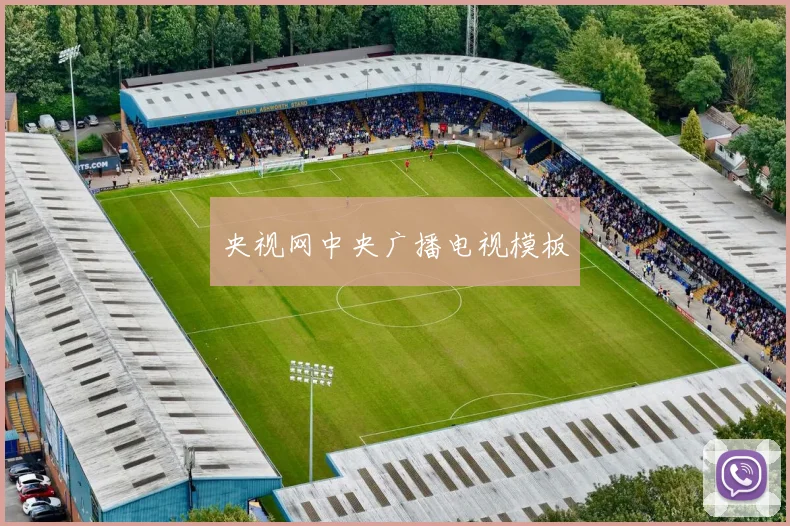 央视网中央广播电视模板