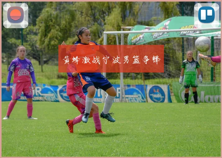 黄蜂激战宁波男篮争锋