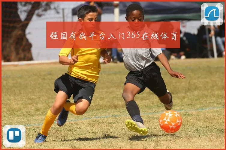 强国有我平台入门365在线体育