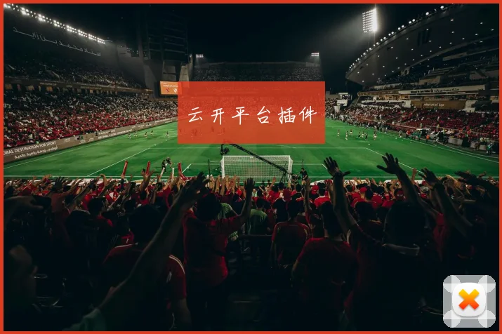 云开平台插件