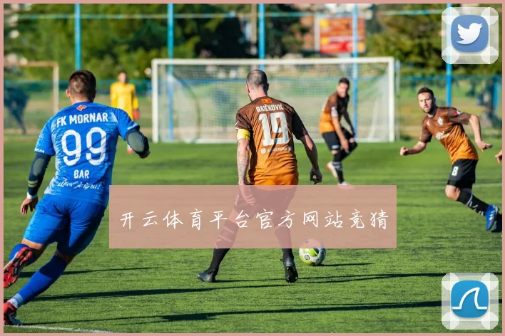 开云体育平台官方网站竞猜