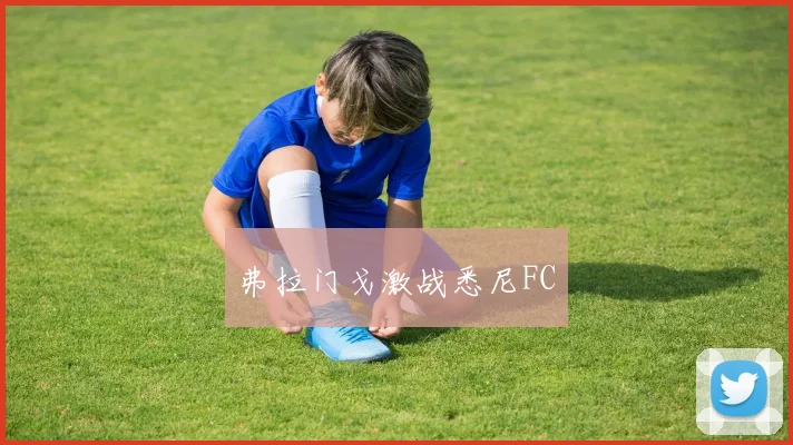 弗拉门戈激战悉尼FC