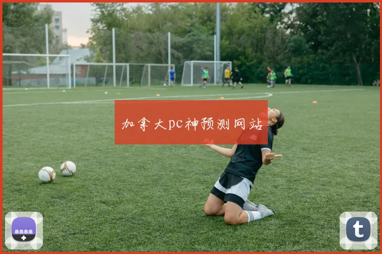 加拿大pc神预测网站