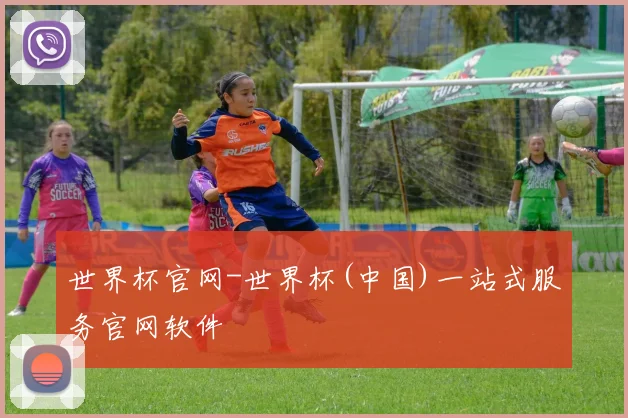 世界杯官网-世界杯(中国)一站式服务官网软件