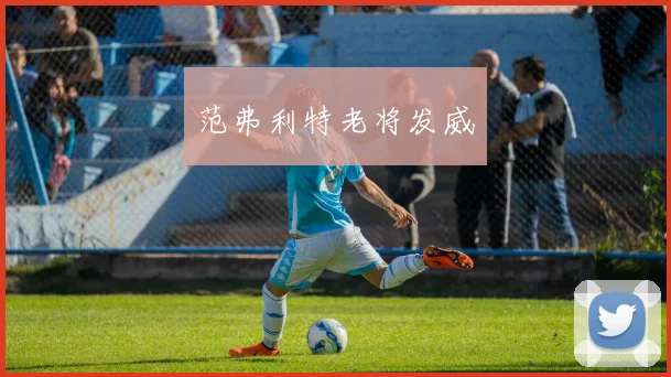 范弗利特老将发威