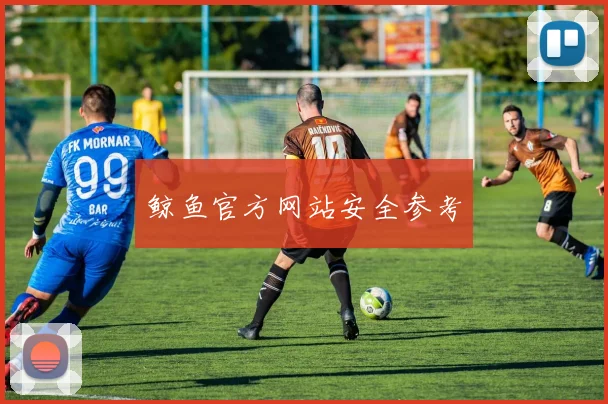 鲸鱼官方网站安全参考