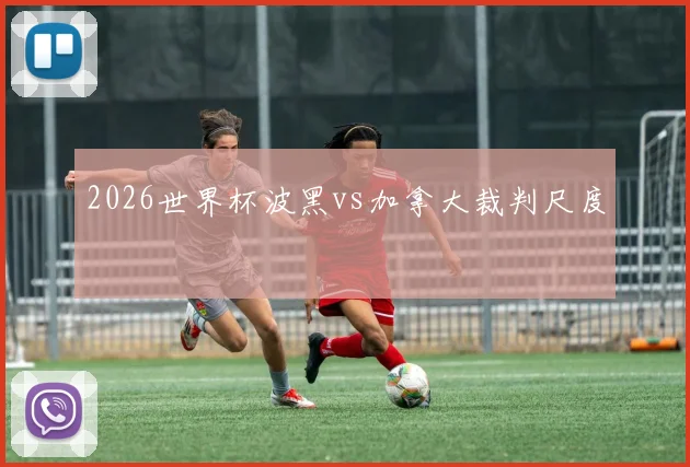 2026世界杯波黑vs加拿大裁判尺度