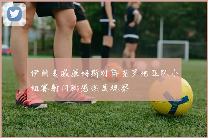 伊纳基威廉姆斯对阵克罗地亚队小组赛射门脚感热度观察